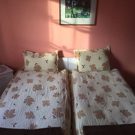 Becze Vanda Kulcsoshaz Lăzarea Exterior foto