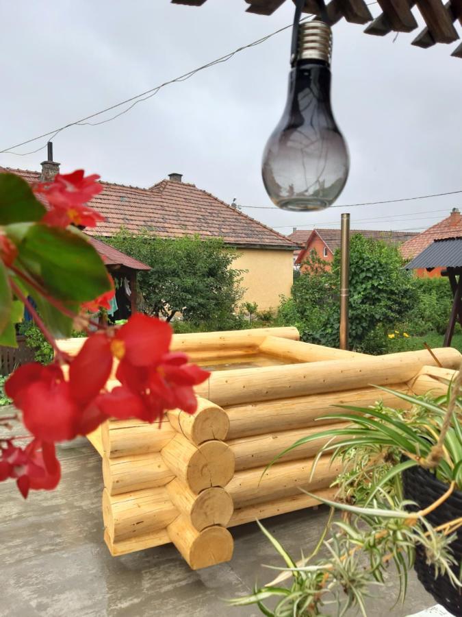 Becze Vanda Kulcsoshaz Lăzarea Exterior foto