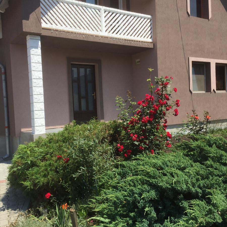 Becze Vanda Kulcsoshaz Lăzarea Exterior foto